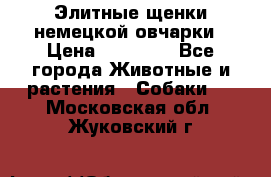 Элитные щенки немецкой овчарки › Цена ­ 30 000 - Все города Животные и растения » Собаки   . Московская обл.,Жуковский г.